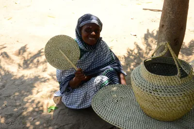 DSC_8350 (Large).JPG